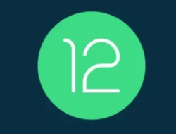 Google Stop Dukungan Android 12: Segera Upgrade ke Versi Terbaru 5 Google Stop Dukungan Android 12: Segera Upgrade ke Versi Terbaru