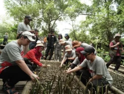 Hari Bumi 2025: 5.000 Mangrove untuk Masa Depan Lestari