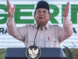 Investasi Prabowo Tembus Rp452 Triliun: DPR Tekankan Peran Danareksa