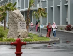 Raih Mimpi Kampus Hijau: Strategi Sukses UTBK SNBT UIN Maliki Malang 2024
