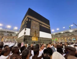 Gelombang Kedua Haji Tiba di Jeddah: 14 Kloter Jamaah Lanjutkan Ibadah 2 Gelombang Kedua Haji Tiba di Jeddah: 14 Kloter Jamaah Lanjutkan Ibadah