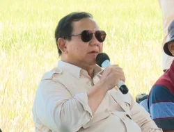 Rekor Produksi Beras Jagung: Swasembada Pangan Indonesia Terwujud