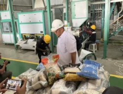 Pemerintah Usut Beras Oplosan, Jamin Keadilan Penggiling Padi Berizin