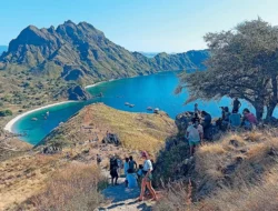 Polemik Villa Pulau Padar: Menteri LHK Imbau Kewaspadaan, Cegah Kerusakan Hutan 7 Polemik Villa Pulau Padar: Menteri LHK Imbau Kewaspadaan, Cegah Kerusakan Hutan