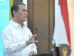 Rak Kosong, Misteri Hilangnya Beras di Ritel Modern Terungkap?
