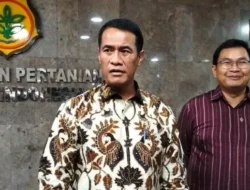 Stok Beras Aman Hingga 2025? Mentan Pastikan Tak Impor Lagi