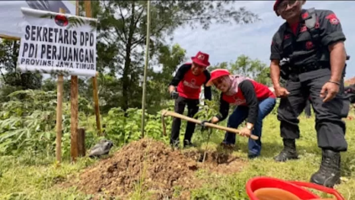 PDIP Jatim Hijaukan Pantai Modangan HUT 52 Ada Kejutan di Malang Selatan
